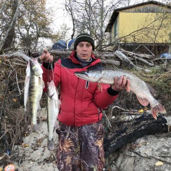 волгоградская обл. рыбалка на дону